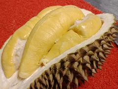 -都念榴莲·城市榴莲