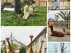 -安徽八里河旅游区