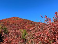 -周口店坡峰岭风景区