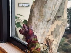 -Ginger(兴国路店)
