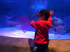 -沈阳海洋探索中心