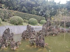 -重庆平顶山公园