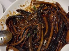 -新吉士·上海菜(浦东LCM置汇旭辉店)