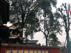 -峨眉山报国寺