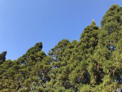 -井冈山风景名胜区