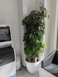 -悟空祛痘·诺奖技术专业店