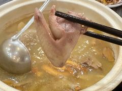 -鸽鸟轩(石岐店)