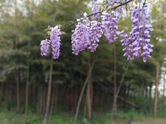 -南通洲际绿博园