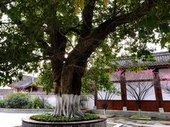 -清代四川贡院