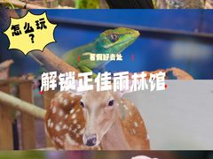 -正佳雨林生态植物园