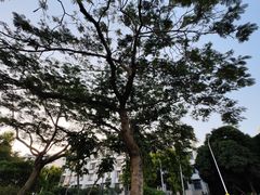 -白鹭洲公园