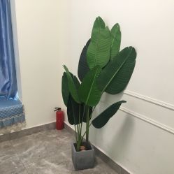 -BM SALON