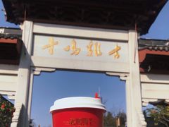 -鸡鸣赐茶(鸡鸣寺路店)