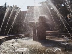 -上海财经大学(国定路校区)