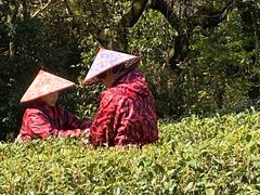 -西湖风景区十里琅珰-五云山