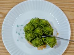 抹茶挞-猫里有甜
