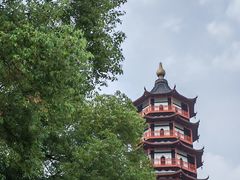 -绳金塔