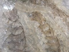 -官塘陈记鱼生·潮汕砂锅粥·牛肉火锅(潮枫路总店)