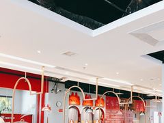 -龍歌自助小火锅(市南金茂湾店)