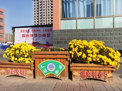 -爱华育新学校