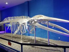 -福州罗源湾海洋世界旅游区