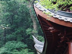 -灵顺寺