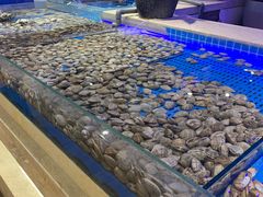 -万象·复兴号鲜肉烤肉海鲜自助(升级店)