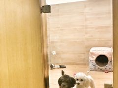 -Double Rui宠物酒店