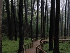 -波尔登森林公园