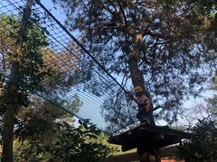 -芦仙山景区-飞越丛林探险乐园