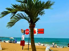 -日照灯塔风景区