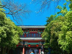 -灵谷景区