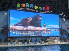 -泉城欧乐堡海洋极地世界
