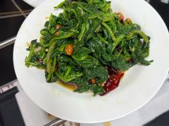 -老黑板筋(顺义总店)