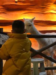 -酷嗒动物文化乐园(cutezoo西溪乐天城店)