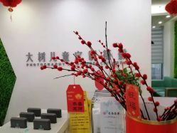点击看大图 -大树儿童摄影
