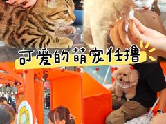 -科兴科学园