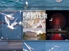 -琴岛之星摩天轮