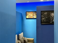 -浣熊部落ps4 ps5 switch 电玩(茶店子店)