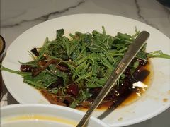 翡翠丝瓜尖-雀蓝川菜(滨湖万象汇店)