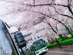 -上海南浦大桥长途旅游客运站
