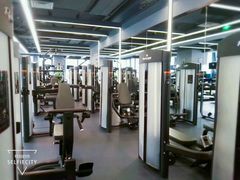 -金吉鸟健身游泳