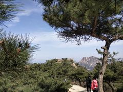 -青岛大珠山景区