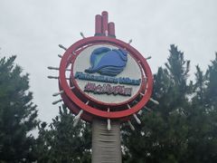 -烟台海昌鲸鲨海洋公园