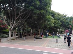 -仙岳公园