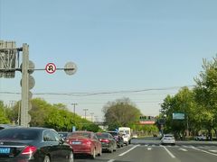 -嘉定紫藤园
