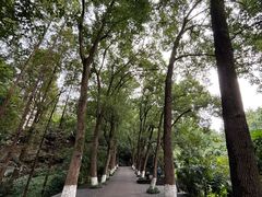 -忠山公园