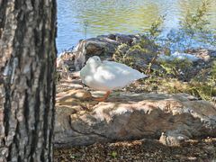 -长春市南湖公园