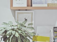 -隹木咖啡馆(宝龙广场店)