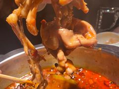 -宽口美蛙鱼头(大唐西市店)